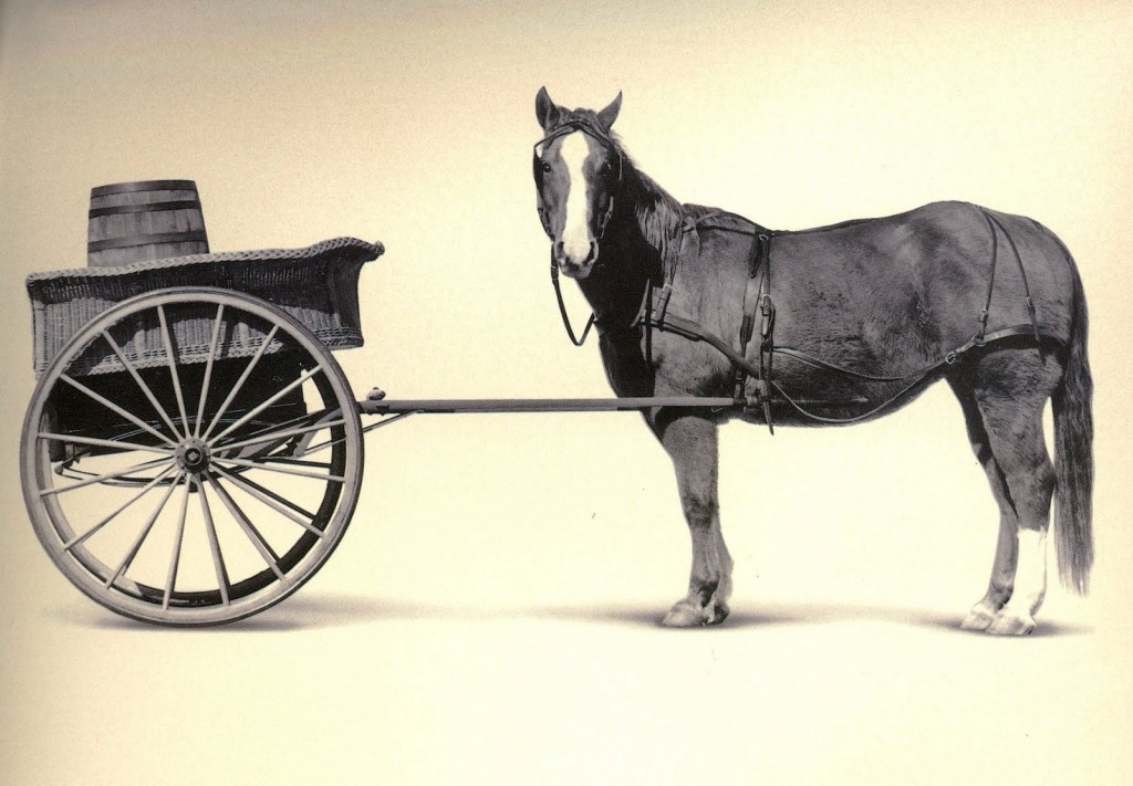 The Cart Before the Horse…