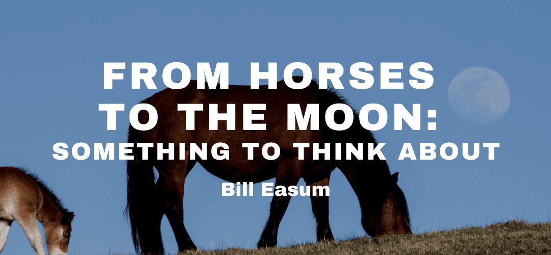 From Horses to the Moon: Something to Think About